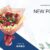 Jual Hand Bouquet Murah Madiun